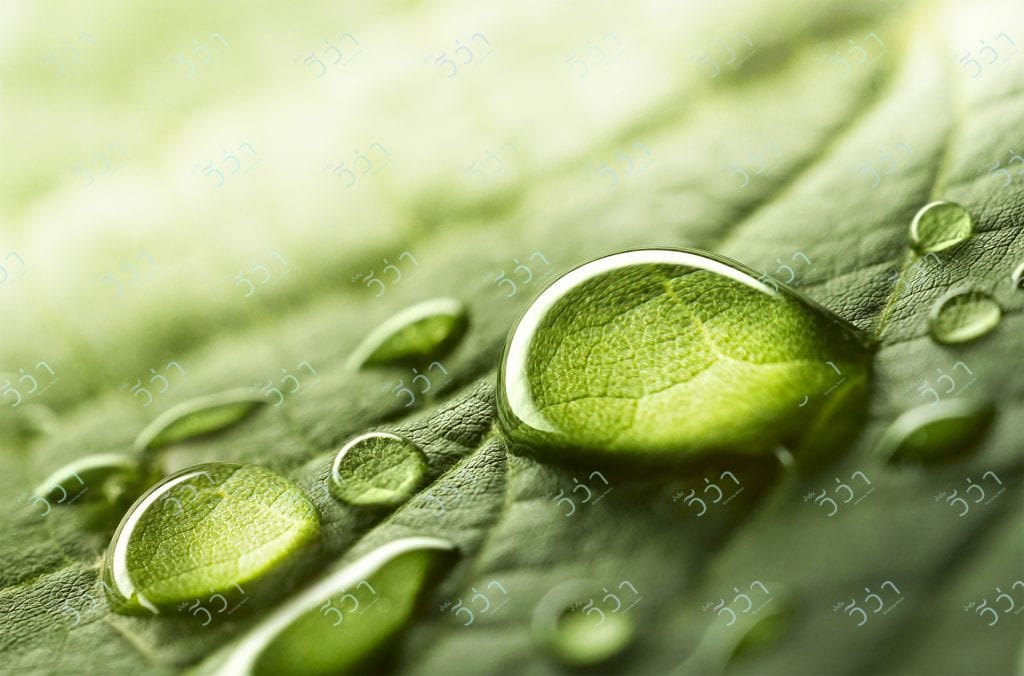 natural-water-vs-bottled-water2
