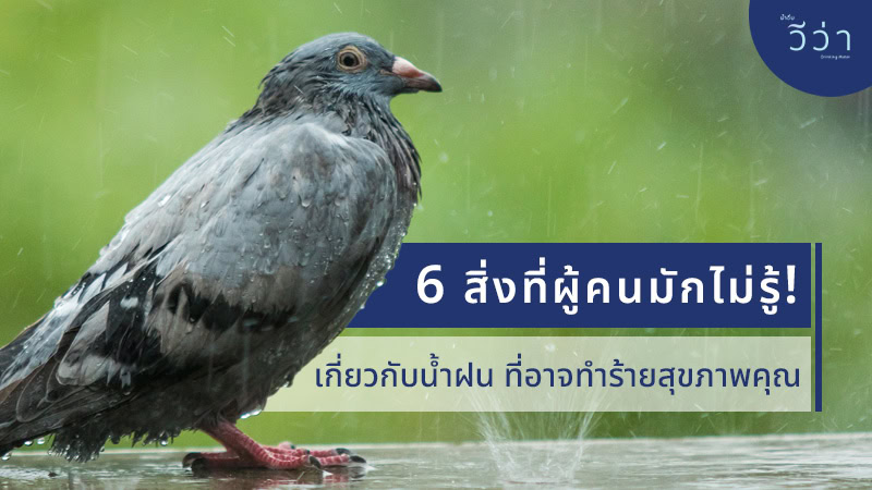 viva blog - rainwater-warning